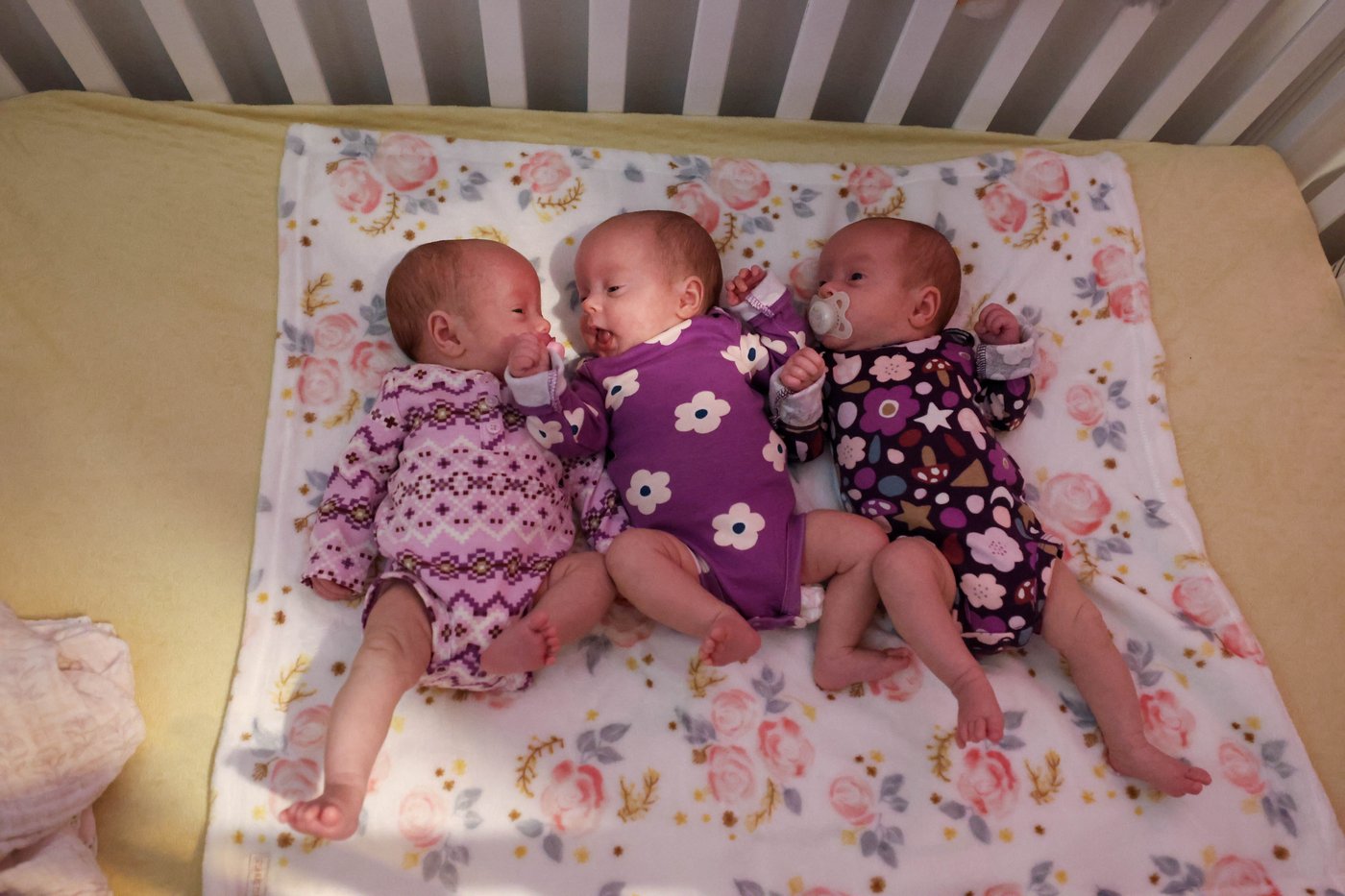 Thorough Planning Leads To Safe Delivery Of Triplets The Vital Beat